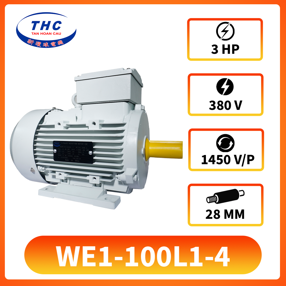 Motor Kéo WE1-100L1-4